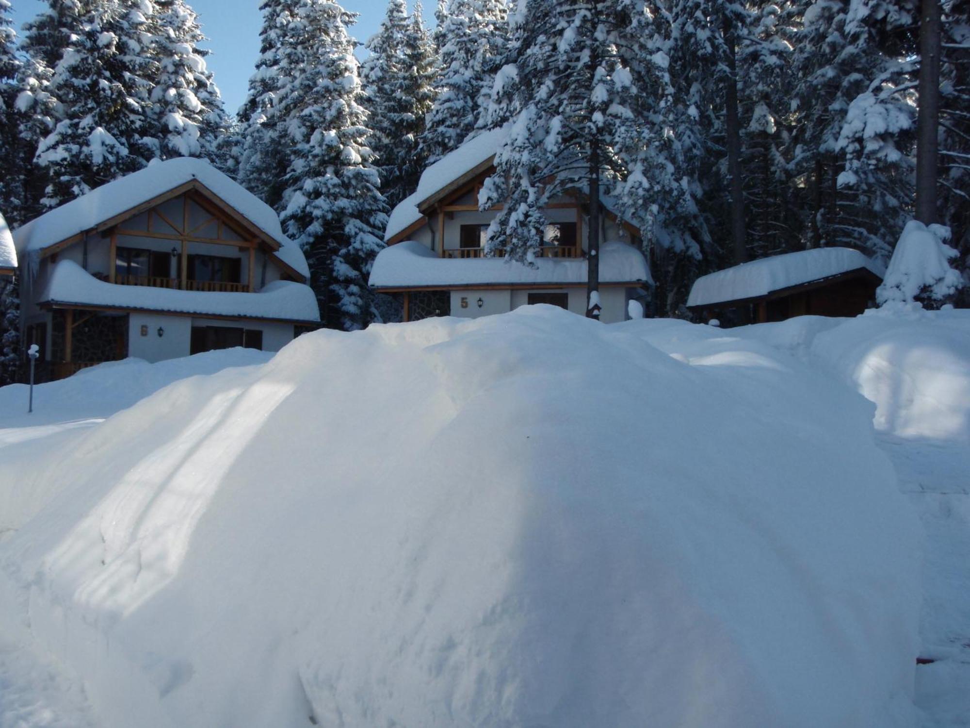 Saint George Holiday Village Borovec Kültér fotó