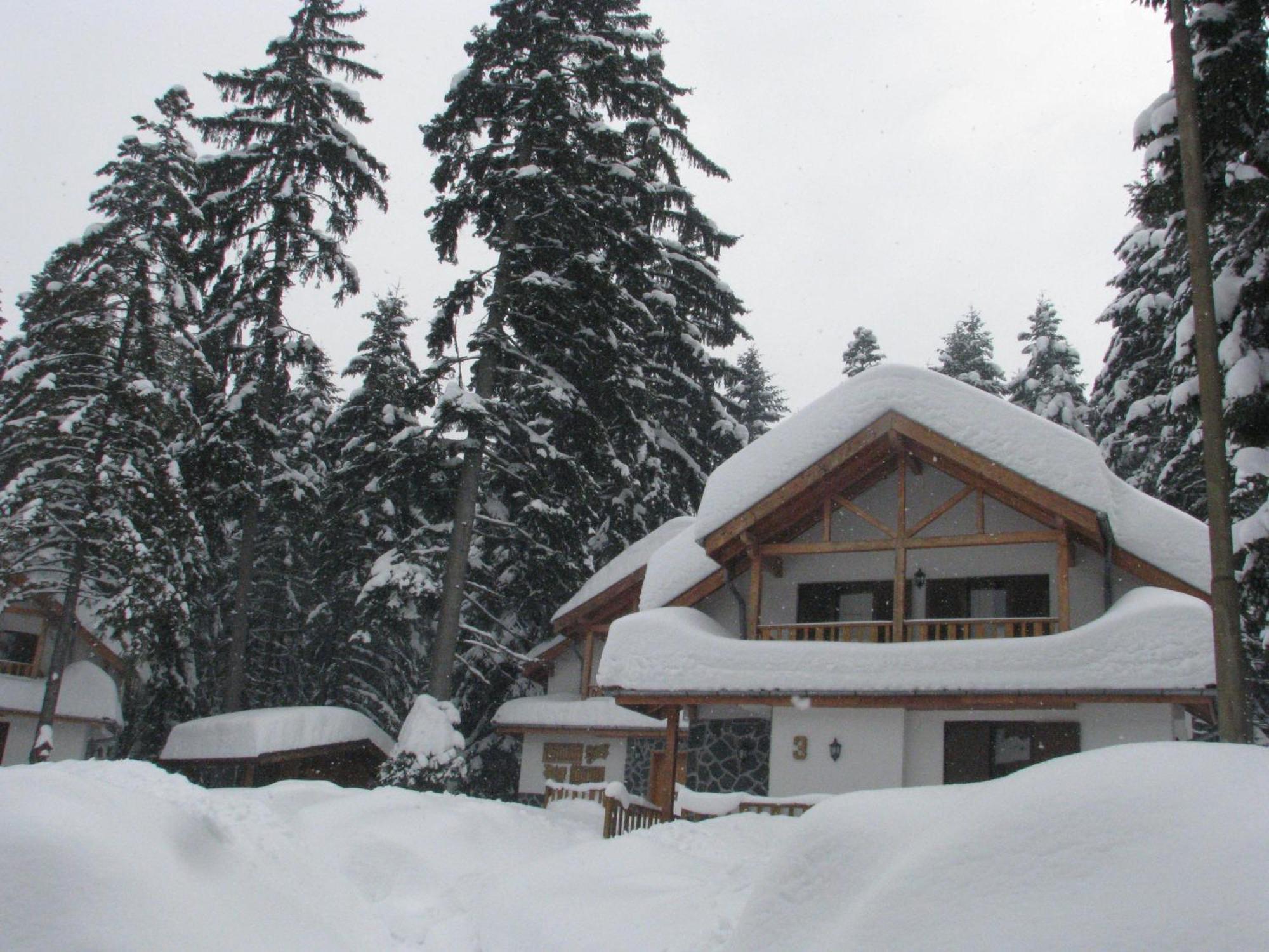 Saint George Holiday Village Borovec Kültér fotó